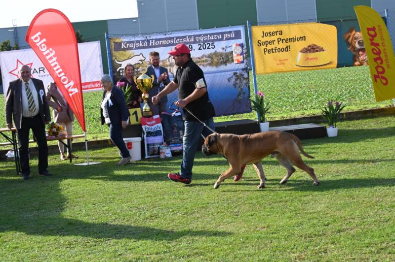 snimek 44.JPG